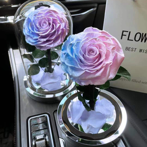 Fornitura Diretta dalla Fabbrica: Rosa Eterna Conservata Sotto Cupola di Vetro, Confezione Regalo con Luce LED - Product Image 5