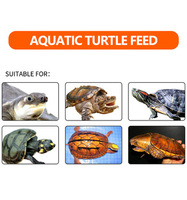 Aliments pour animaux domestiques à haute teneur en protéines Reptile Tortue Boulettes Tortue Nourriture pour tortue
