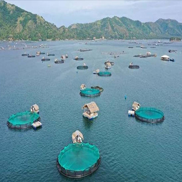 HDPE Pipe Fishing Cage Floating Fish Farming Cage Fishing Net in Deepsea for Sea Aquaculature
