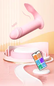 App Afstandsbediening Onzichtbaar Draagbare Sterke 10 Frequentie Massage Lichaam Vibrator Voor Vrouwen