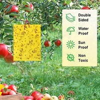 Lot de 24 autocollants collants imperméables pour insectes volants et pièges à plantes écologiques et économiques