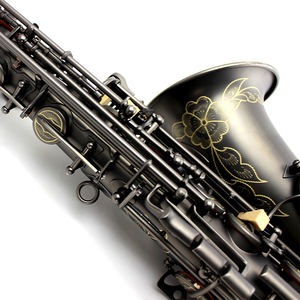 Saxophone alto série Vintage EB-polissé noir avec boutons en nacre Instrument en laiton professionnel résistant à la rouille YTM-160 Mat - Product Image 2