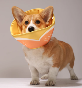 Elizabethanischer Kragen für Katzen, Hunde-Halskrause nach Operationen, Verstellbarer Erholungskragen zur Verhinderung von Wundlecken - Product Image 6