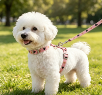 Laisse pour animaux de compagnie en forme de I, harnais réglable pour chien, laisse de poitrine pour chien, boucle de fermeture anti-évasion, chaîne pour chien