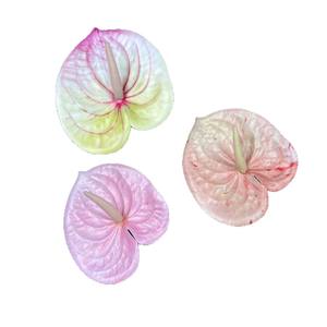 Palmier rouge Simulation Plante Verte Flamingo Palmier Guanyin Lotus Pastorale Pendule Conception Fleur Feuille Style Campagnard Maison - Product Image 5