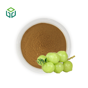 Compléments alimentaires de haute qualité, poudre d'Amla naturelle / poudre de fruit de feuille d'emblica - Product Image 1
