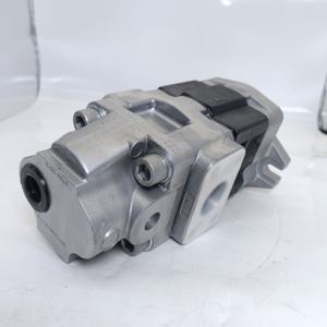 Bomba hidráulica para carretilla elevadora SDY SDY1A serie SDY1, bomba hidráulica de doble engranaje para excavadora, Serie 2, 1, 2, 1, 2, 1, 2, 1, 2, 1, 2, 1, 2, 1, 2, 1, 2, 1, 2 - Product Image 5