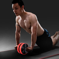 Rouleau d'exercice abdominal professionnel pour la salle de sport et la maison, en ABS de haute qualité, léger, pour la musculation