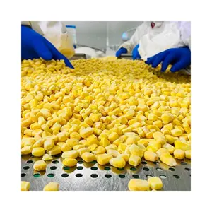 健康的なIQF冷凍スイートコーン冷凍コーンカーネル冷凍野菜工場価格ブランドWXHT迅速な配達と無料サンプル
