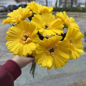 <span class=keywords><strong>Gerbera</strong></span> Artificial Africana de 7 Cabezas con Tallo, PU, para Bodas, Halloween, Decoraciones de Acción de Gracias, Ideas de Regalos para el Hogar - Product Image 6