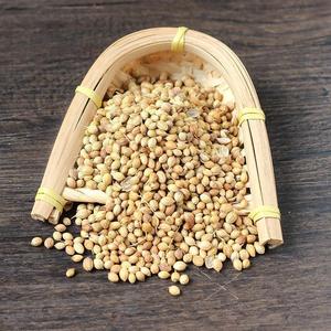 Graines de <span class=keywords><strong>coriandre</strong></span> - Product Image 4