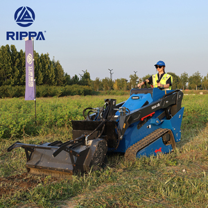 Rippa rs06 Mini Skid chỉ đạo Trái Đất di chuyển máy móc backhoe Máy kéo mini xử lý <span class=keywords><strong>loader</strong></span> tuyết làm sạch DIESEL Skid chỉ đạo Bộ nạp - Product Image 5