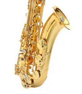 LTS-1000NT Acessórios China Profissional Sax Bb Saxofone Tenor Instrumento de Laca de Ouro