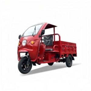 Tricycle électrique TECREK à trois roues toit pour adultes utilisation passager à trois roues - Product Image 1