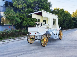 Prix d'usine, vente en gros : Carrosse de princesse électrique sans chevaux, modèle Cendrillon, pour la visite touristique, à vendre - Product Image 3