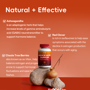 BASE OEM Balance Through the Change <span class=keywords><strong>Menopause</strong></span>-Kapseln für ganzheitliche Unterstützung während der Perimenopause und <span class=keywords><strong>Menopause</strong></span> - Product Image 2