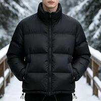 Veste décontractée pour homme à col montant, fermeture éclair sur le devant, rembourrée de duvet 700, classique et brodée