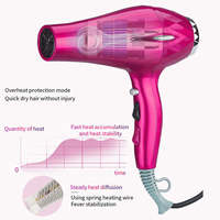 Sèche-cheveux 2000w pour salon à domicile Sèche-cheveux à séchage rapide et à faible bruit