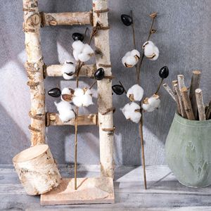 Flor Artificial de Algodón CallaFloral, 5 Cabezas, Blanca, Flor Seca para Decoración de Bodas y Hogar - Product Image 1