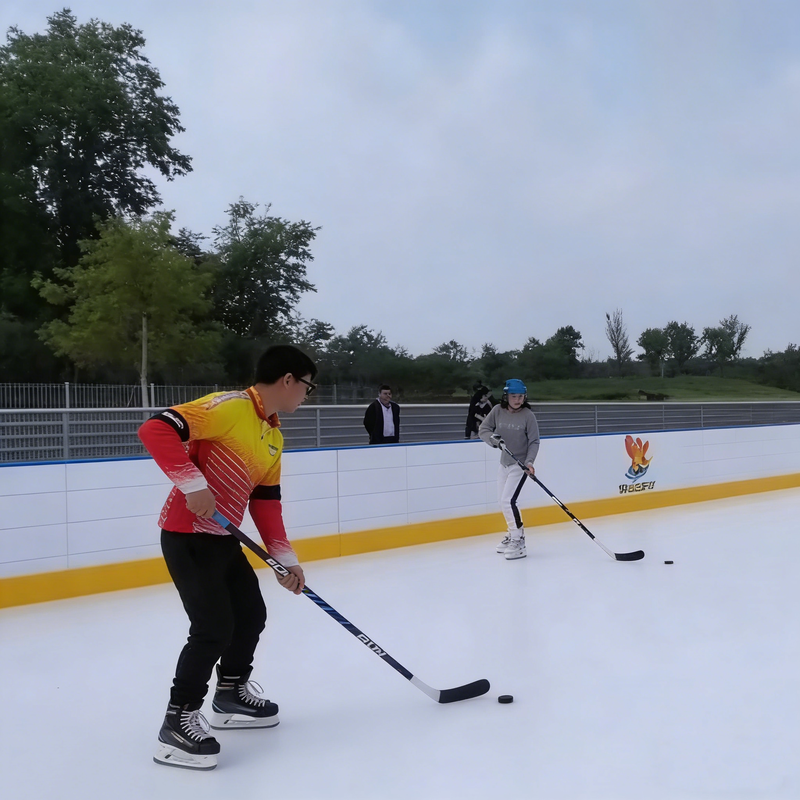 Factory Outlet Detachable Synthetic Ice Rink