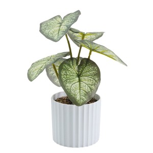Mini Planta Artificial de Caladium en Maceta, Hojas Multicolor Variadas en Forma de Corazón, Decoración para Mesa, Hogar, Cafetería, Escritorio, Venta al por Mayor - Product Image 5