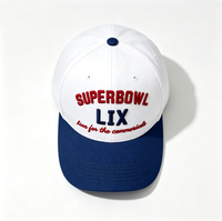 Casquette de baseball unisexe bicolore brodée, visière incurvée, boucle réglable, pour fans de sport et usage décontracté