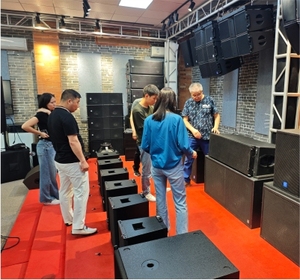 CHORDIO TG110 Sistema Audio Attivo per Esterni/Interni, Subwoofer Professionale con Amplificatore Integrato, Altoparlanti PA DJ, Garanzia di 2 Anni - Product Image 5