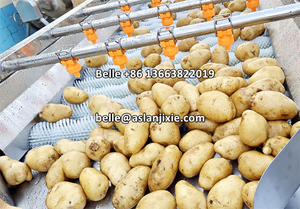 เครื่องปอกแปรงมันฝรั่งเครื่องทำความสะอาดแบบนุ่มแปรงอะโวคาโดเครื่องทำความสะอาดหอยเชลล์ - Product Image 2