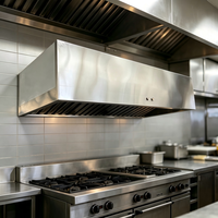 Hotte d'extraction de fumée robuste en acier inoxydable à fixation murale pour système de ventilation de cuisine commerciale
