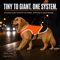 Gilet de sécurité pour animaux de compagnie pour les promenades nocturnes, gilet réfléchissant pour chien à haute visibilité avec bandes réfléchissantes à 360° et deux boucles lumineuses, sangle à dégagement rapide