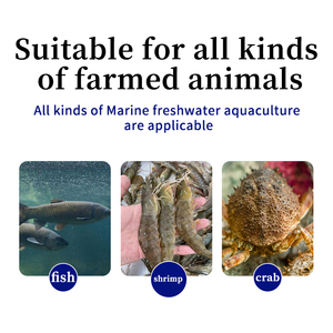 Aditivo Alimenticio para Camarones que Promueve <span class=keywords><strong>el</strong></span> Crecimiento sin Obstáculos para Animales Acuáticos, que Aborda la Problematica de <span class=keywords><strong>Heces</strong></span> Blancas y Vibrio Intestinal, con una Vida Útil de 2 Años - Product Image 5
