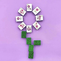 Set Mahjong Amerika 160pcs Sparkle Green Glitter, Warna Ivory di Bagian Depan, Ungu dan Putih di Samping, Hadiah Koleksi untuk Liburan