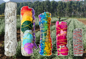 Pacote de manchas de pets brancos com flores de folha pura - Product Image 5