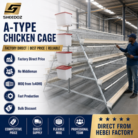 Poulailler d'élevage pour poules pondeuses, équipement avicole, cages pour poules, cage en batterie galvanisée pour l'élevage de poules pondeuses