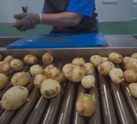 Nouvelle ligne de production de frites surgelées, machine de découpe, de friture et de congélation des pommes de terre, usine de transformation complète, congélateur tunnel IQF 304