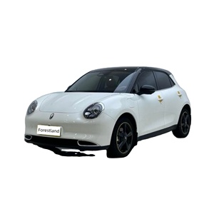 <span class=keywords><strong>Ora</strong></span> Good <span class=keywords><strong>Cat</strong></span> 2024 401km Édition Luxe Électrique Pliable Coffre Extensible Compact Rétro EV Carrosserie Flexible Facile à Stationner - Product Image 1