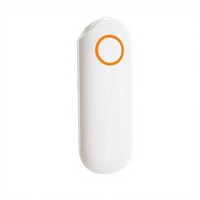 Appareil Portable Anti-Démangeaisons Rechargeable USB, Stylo Apaisant pour Piqûres de Moustiques, Instrument Antiprurigineux en ABS pour l'Extérieur et la Maison