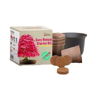 Kit de Inicio para Cultivo de Bonsái en Interiores, Jardinera para Principiantes con Caja de Regalo para el Crecimiento, Ideal para Cumpleaños Infantiles - Product Image 1