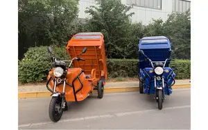 Tricycle Electric Agricultural Tricycle 3 Wheels Volta Cargo For Adult Charging Generator Adults Used Electric Tricycles