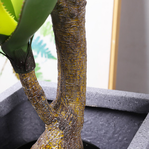 Cactus long artificiel écologique en plastique pour le désert et les plantes succulentes tropicales pour la décoration de la maison ou du bureau - Product Image 4
