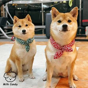 Pañuelo para mascotas con diseño de limón y arabescos japoneses, estilo Shiba Inu, para gatos y perros, ideal para vacaciones, de celebridad online transfronteriza. - Product Image 1
