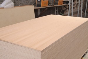 Contreplaqué décoratif double face en placage de bouleau - Contreplaqué en placage coupé à la fraise, bois d'hévéa, eucalyptus, surface plane - Product Image 5