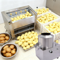 Rm Automatische Commerciële Wortel Zoete Aardappelschiller Polijstmachine Schillen Laveuse/Fruit-En Groentewasmachines