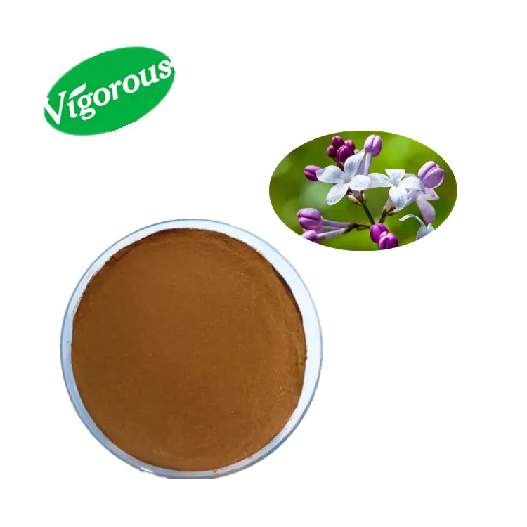 clove extract powder 10:1 clove extract