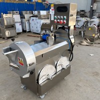 Hoge kwaliteit groente- en fruit-chipsnijder, -snijmachine en -slicer