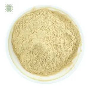 Nanqiao Fabricante al por mayor 100% Extracto de crisantemo natural Polvo concentrado con flavonoides totales GE 3%