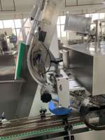 Machine de capsulage remplissante de liquide de petite bouteille de Rollon en verre d'huile de parfum de déodorant automatique pour des bouteilles de boule de rouleau