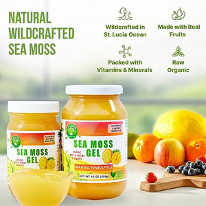 Gel de musgo marino orgánico OEM, vitaminas, geles de piña, productos <span class=keywords><strong>para</strong></span> <span class=keywords><strong>el</strong></span> cuidado del <span class=keywords><strong>cabello</strong></span>, soporte digestivo inmunológico <span class=keywords><strong>para</strong></span> adultos, Etiqueta Privada, botella de 454G - Product Image 4