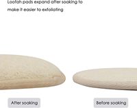 Éponges exfoliantes en luffa naturel et tissu éponge pour le corps, pour la douche et le bain