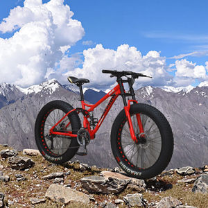 Vélo de montagne personnalisé avec pneus ultra larges pour adultes, jeux de banlieue à grande vitesse avec pédale ordinaire et <span class=keywords><strong>fourche</strong></span> en acier - Product Image 3